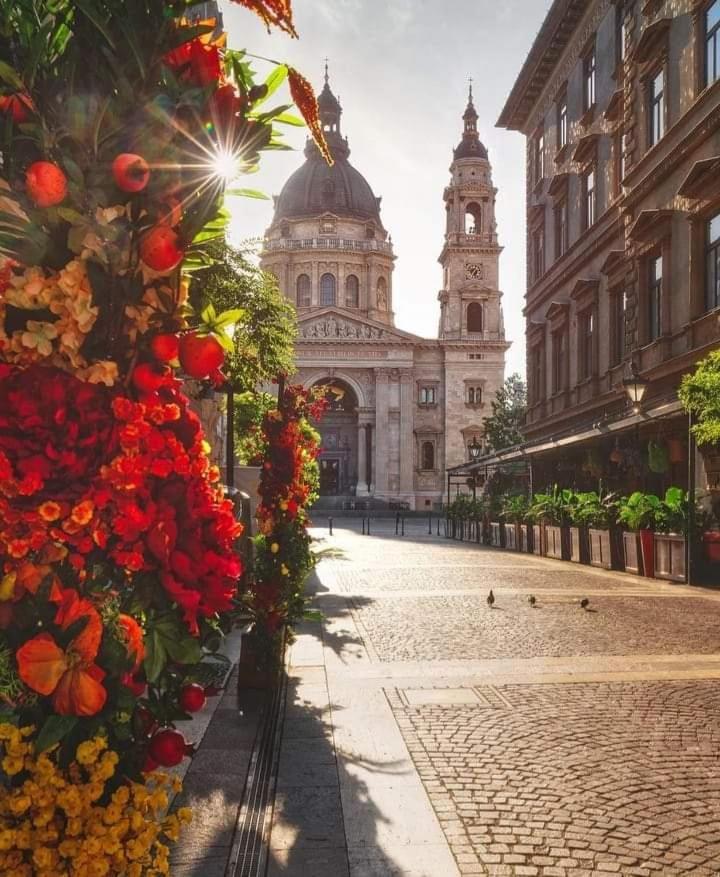 Ferienwohnung Downtown Elegance Budapest Exterior foto